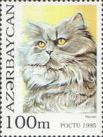 [Cats, type GN]