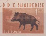 [Animals - New Colors, type KO1]