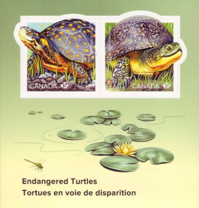 [Endangered Turtles, type ]