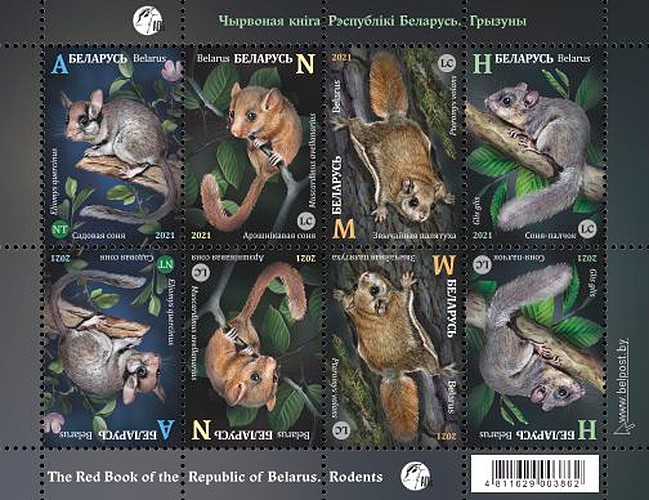[Fauna - Rodents, type ]