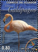 [Fauna of Galapagos Island, type DGZ]