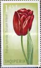 [Flowers - Tulipans, type ALG]