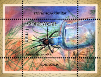 [Arachnids, type ]
