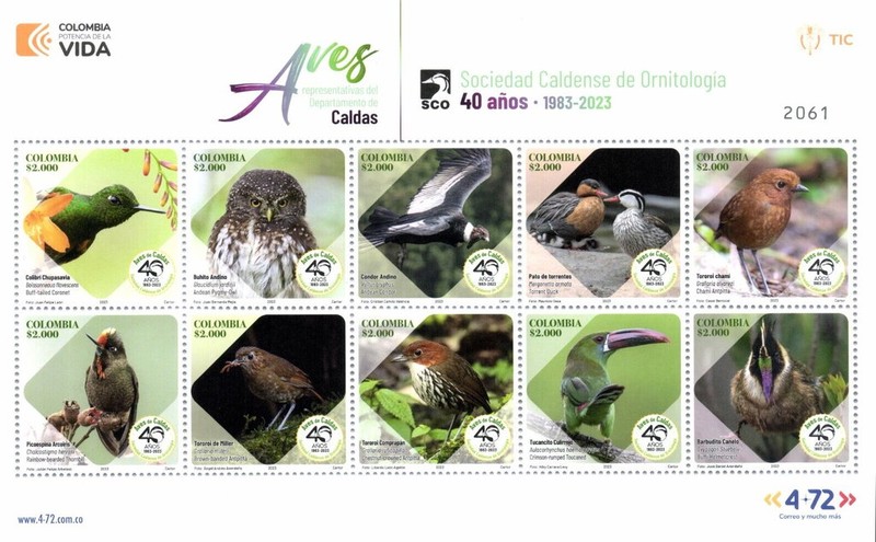 [The 40th Anniversary of the Orothological Society of Caldas, type ]