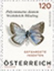 [Insects - Butterflies, type EFL]