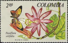 [National Orchid Congress and Tropical Flora and Fauna Exhibition, Medellin, type AFD]