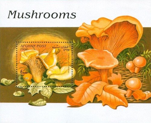 [Mushrooms, type ]