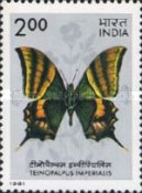 [Butterflies, type AAE]