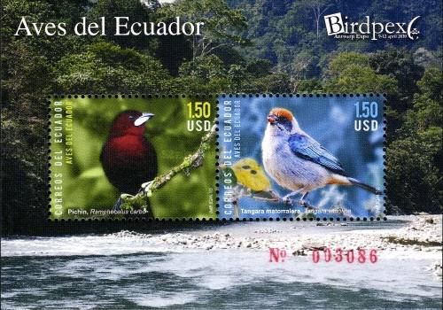 [Birds of Ecuador, type ]