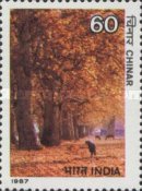 [Indian Trees, type AJH]