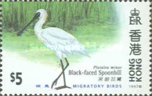 [Migratory Birds, type XQ]