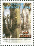 [Galapagos Flora, type CKA]