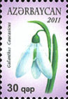 [Garabagh Flowers, type ACZ]