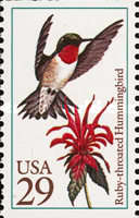 [Hummingbirds, type BZH]