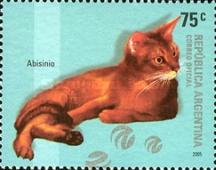 [Domestic Felines, type CYL]