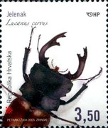 [Croatian Fauna - Ladybird, type XC]