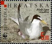 [Environment & Conservation - WWF, type ZJ]