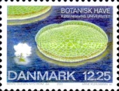 [Botanic Garden, type AEY]