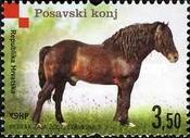 [Croatian Autochthonous Breeds, type AAL]