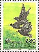 [National Bird Candidates, type RG]