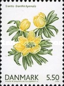 [Flowers, type AJU]