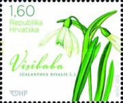 [Croatian Flora - Spring Flowers, type AIU]