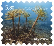 [Croatian Undersea World, type AMH]