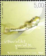 [Croatian Fish - Adriatic Sturgeon, type AEQ]
