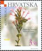 [Croatian Flora, type QS]