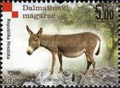[Croatian Autochthonous Breeds, type AAM]