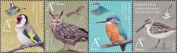 [BIRDPEX - Protected Bird Species, type ]