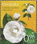 [Croatian Flora, type BGF]