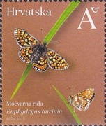 [Insects - Butterflies, type BEL]