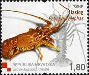 [Croatian Fauna - Lobster, type AAH]