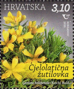 [Croatian Flora - Protected Species, type AYT]