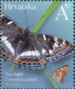 [Insects - Butterflies, type BEM]
