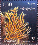 [Sea Life in Croatia, type AXK]