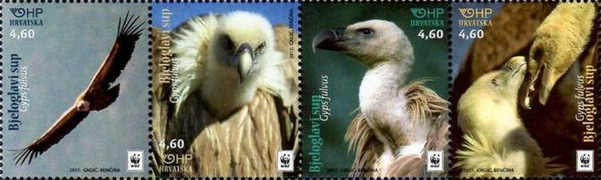 [WWF - Euroasian Griffon, type ]