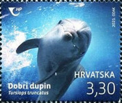 [Marine Life, type BAO]