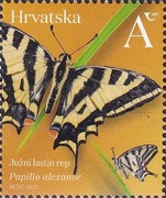 [Insects - Butterflies, type BEK]