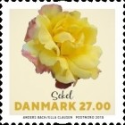 [Flowers - Roses, type AXD]