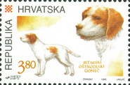 [Dogs, type HQ]