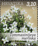 [Croatian Flora - Protected Species, type AYS]