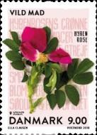 [Gastronomy - Wild Food, type AXV]