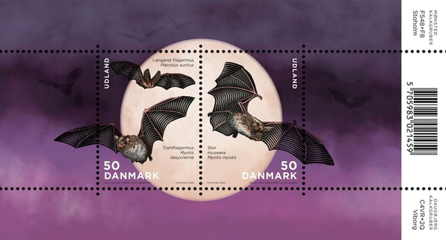 [Bats of Denmark, type ]