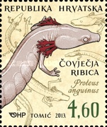 [Croatian Fauna - Amphibians, type AKR]