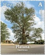 [Croatian Flora, type BJY]