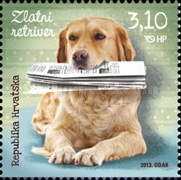 [Domestic Animals - Dogs, type AKL]