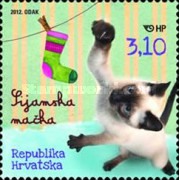 [Domestic Animals - Cats, type AIT]