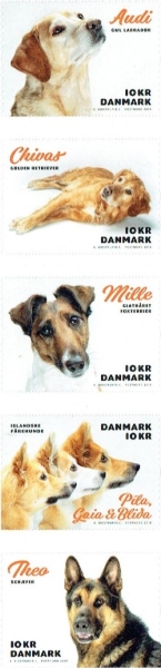 [Dogs, type ]